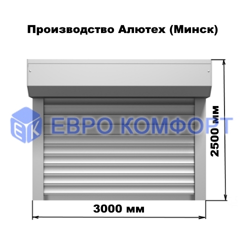 Роль ворота  с эл.приводом и радиоуправлением+2 пульта (Производство Алютех (Минск), 3000х2500мм)
